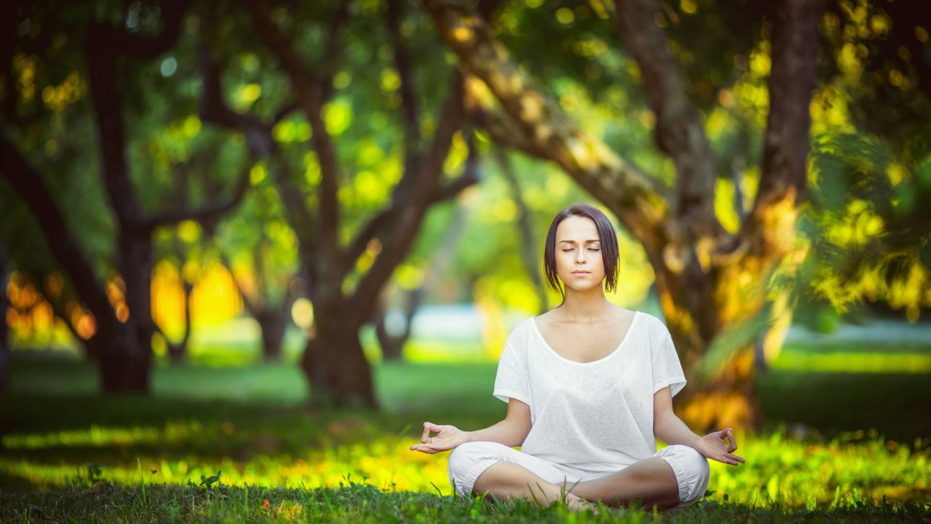 《电竞战队荣誉墙：纪录辉煌历史时刻》，电竞战队冠名