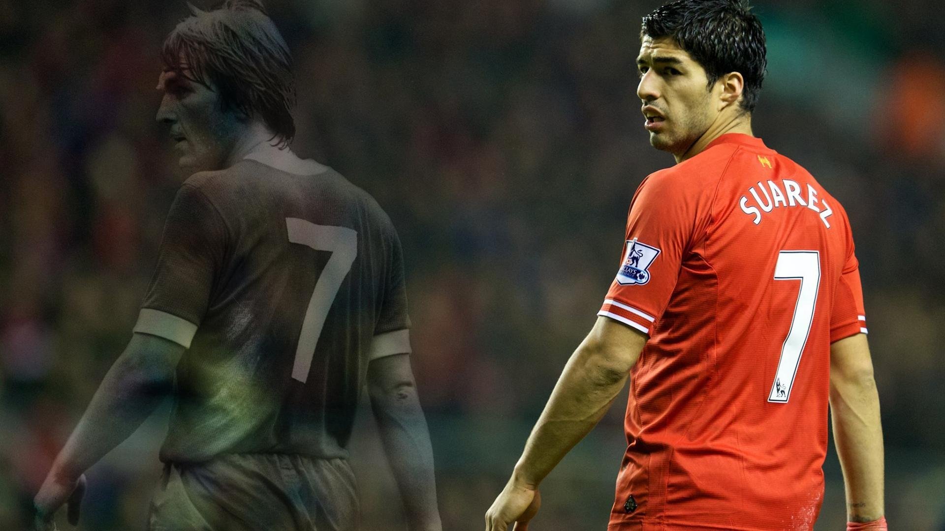 塞内加尔马术协会举办国际马术科技大会，推动行业技术交流与合作。